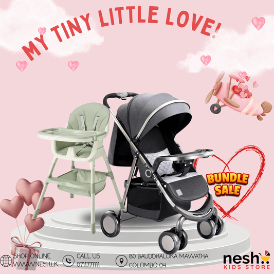 Hao Shou Baby Stroller , Baby 3 In 1 Feeding Chair With Removable Tray (BD-8128) - Nesh Kids Store