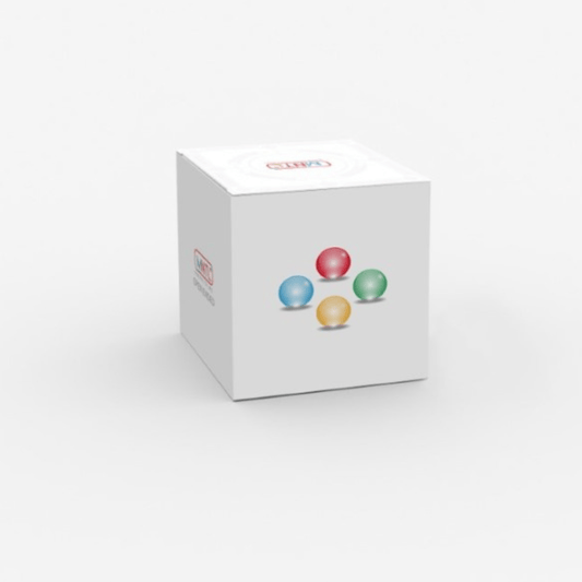 MNTL Balls with Light - 4 PC Set - Nesh Kids Store