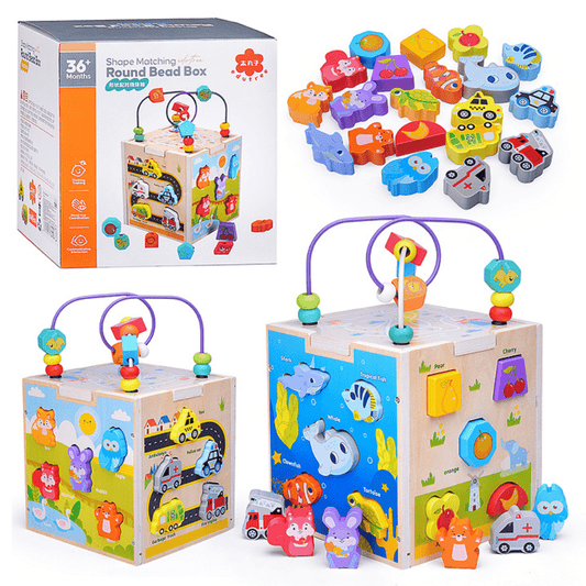 Shape Matching Wooden Bead Box – Early Learning Toy for Kids - Nesh Kids Store