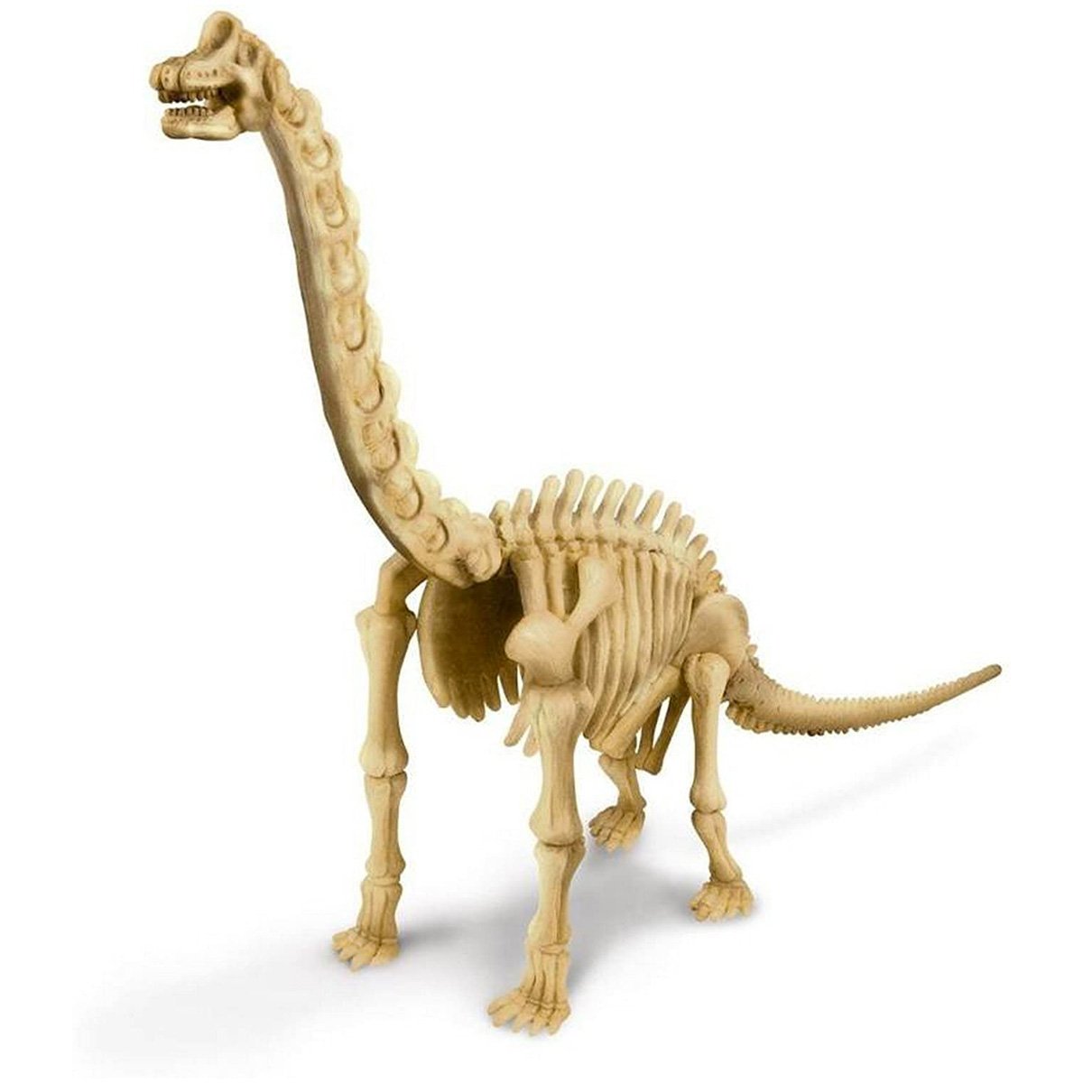 4M KidzLabs Dig a Brachiosaurus Skeleton - Nesh Kids Store