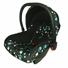 Baby Car Seat & Carrier